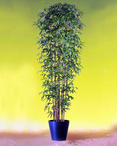 Fake Bamboo Plant Picture